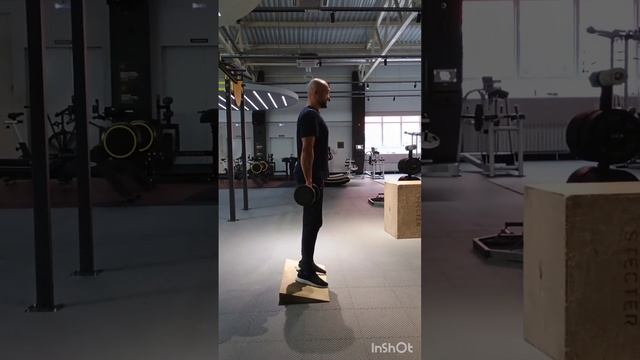 Гак-присед с гантелями пятки на возвышении. смотреть онлайн