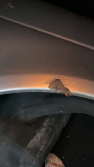 Купил запчасти на битую приору ✅ #automobile #покраска #рем? смотреть онлайн