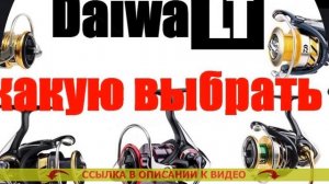 Спиннинг Дайва Exceler