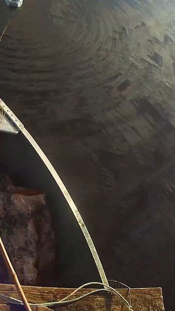 Рыбалка на поплавок. #селигер#рыбалка #поплавок