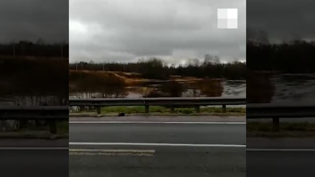 Реки вышли из берегов: затопило Данилов | 76.RU