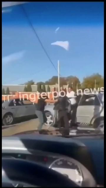 В мире животных.... (посмотрите на них в их естественной смотреть онлайн