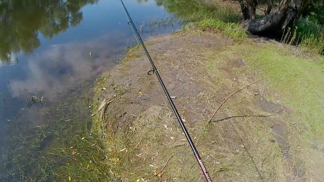 Рыбалка в пригороде Барнаула смотреть онлайн