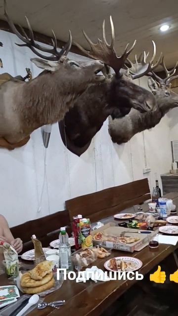 баня отдых 👍👍 #смешное #halloween #дети #юмор #приколы #cospla смотреть онлайн