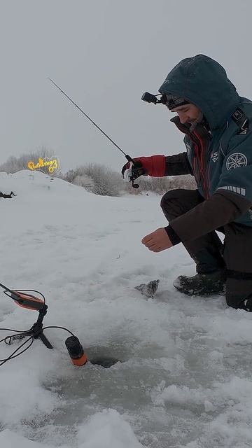 Форель на балансир EcoPro смотреть онлайн