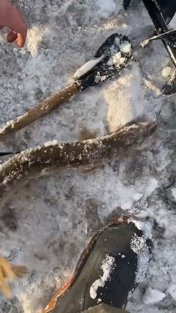 10 января 2024 г. смотреть онлайн