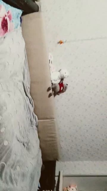 Ну что ж Позвольте представить камин телевизор смотреть онлайн