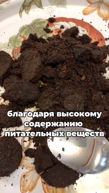 Больше не выбрасываю кофейную гущу #рецепт #дача смотреть онлайн