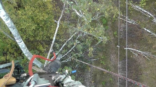 Береза 24 сентября 2018 - 00009 смотреть онлайн