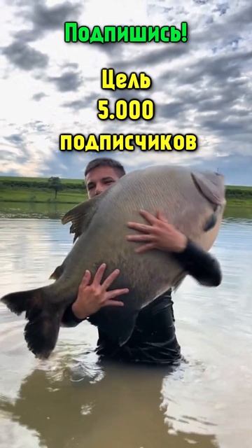 Рыбалка! КлЁвое Настроение! Подпишись! #shorts #рыбалка #р? смотреть онлайн