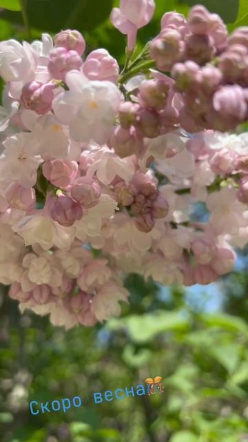 31 января 2025 г. смотреть онлайн