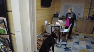 Сняли домик на Алтае за 2000 тысячи рублей - жильё на Алтае - Снять жильё на Алтае