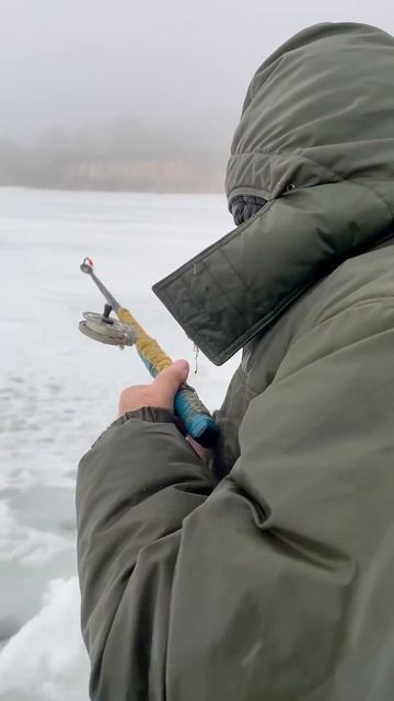 Вчера клевало, а сегодня не клюет #рыбалка #дед смотреть онлайн