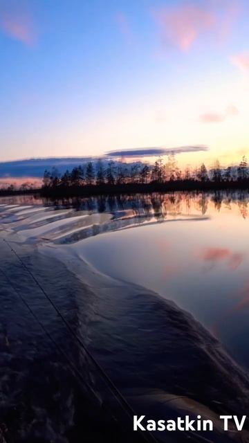ТАЕЖНЫЙ ЗАКАТ ЛЕТОМ! ЗАЛИПАТЕЛЬНАЯ Картина! #летнийза? смотреть онлайн