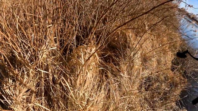 Мощный старт в щучий март смотреть онлайн