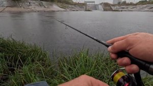 НАСТОЯЩАЯ РЫБАЛКА!!! ЛОВЛЯ ОКУНЯ НА СПИННИНГ CF Arion ASRE802LT