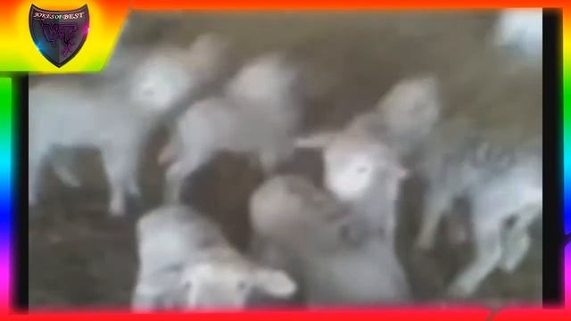 Толик Бл*ть!!!| ЛУЧШИЕ ПРИКОЛЫ 2018 #17 | СUBE LIKE| VITA TV смотреть онлайн