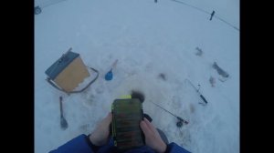 Зимняя рыбалка 08.01.2025 Озеро Негито, Ямал