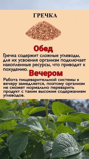 Гречка #советы #полезныесоветы #полезно #чай #витамины смотреть онлайн
