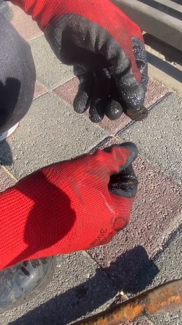 Магнитная рыбалка Владивосток! #shorts #владивосток #магн