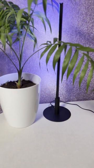 LED торшер на круглій підставці, лід лампа, лід нічник, RG смотреть онлайн