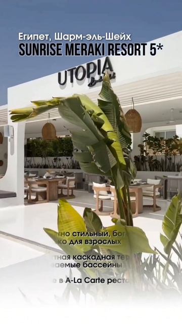 #египет #тур смотреть онлайн