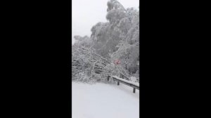 Катаклизмы принимать... мать