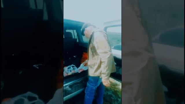 ГРИБЫ!! ГРИБЫ!!! и еще раз ГРИБЫ, степи ҚАЗАҚСТАНА, после смотреть онлайн