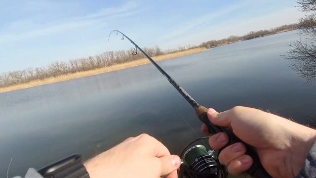 Карась дуреет с этой прикормки!! Удачное открытие фиде смотреть онлайн