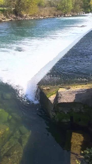 Почти бассейн в Дубае смотреть онлайн