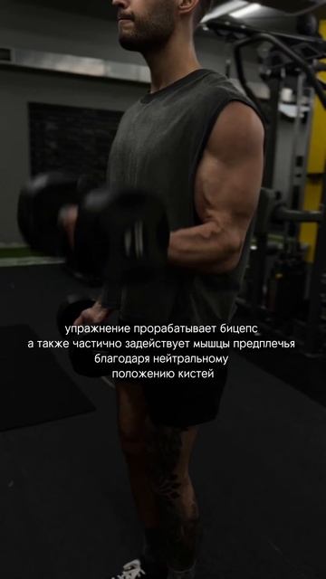 Сгибания гантелей на бицепс. смотреть онлайн