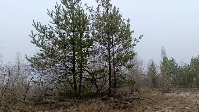 23 января народный праздник Григорьев день. Что делать смотреть онлайн