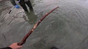 Морской червь: как, где, чем добывать? Полный разбор!