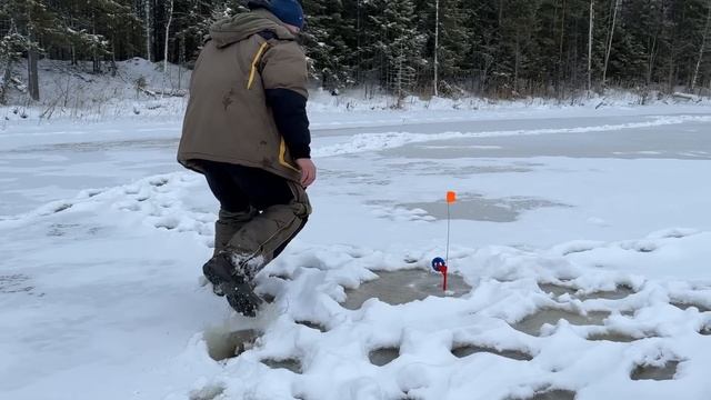 СКАЗОЧНЫЙ ЗИМНИЙ ЛЕС,КОРОТКАЯ РЫБАЛКА В ВОЛОГОДСКОЙ смотреть онлайн