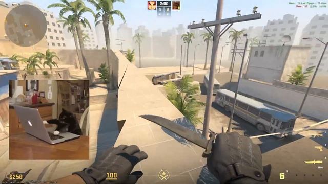 Найди меня если сможешь! CS2 смотреть онлайн