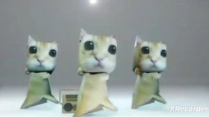 котики танцуют под murder in my mind (speed up)