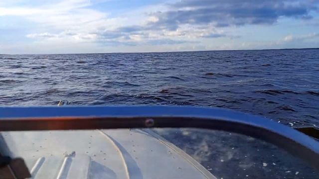 Озеро Воже, Вологодская область 17.07.24г.