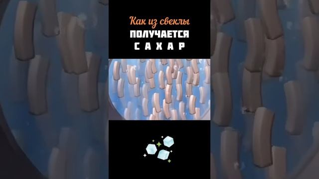 Откуда берется сахар? смотреть онлайн