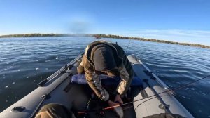 Рыбалка На Судака С лодки  в Отвес на Волге!