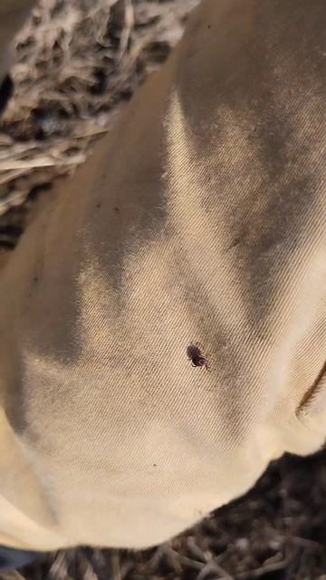 весенний ультралайт #тула #рыбалка #fishing #голавль