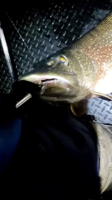 Ночная щука на 9 кг🎣 #рыбалкавсызрани #рыбалка #щука #р