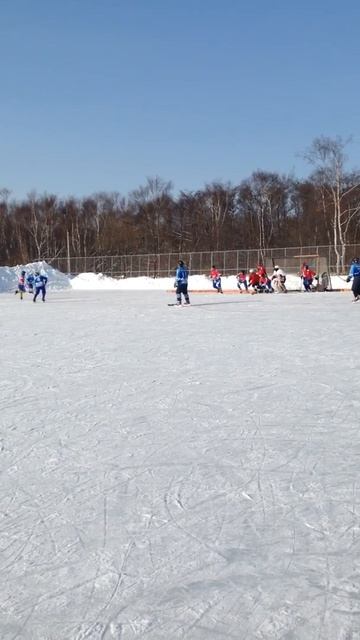 Первенство области по хоккею с мячом! Поронайск- Южно смотреть онлайн