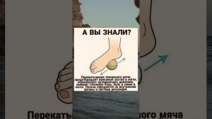 Массаж стопы теннисным мячом #упражнениядляног #секре