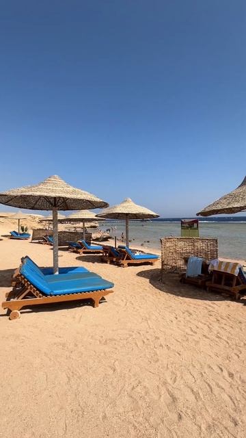Огромный пляж отелей сети Charmillion 5* в Набк Бей #египет #о смотреть онлайн