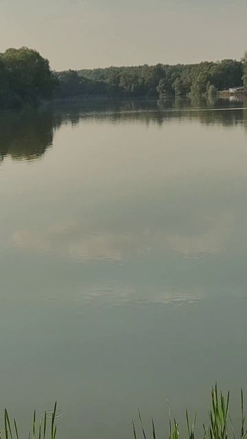 #анетсай #музыка #лето #рыбалка