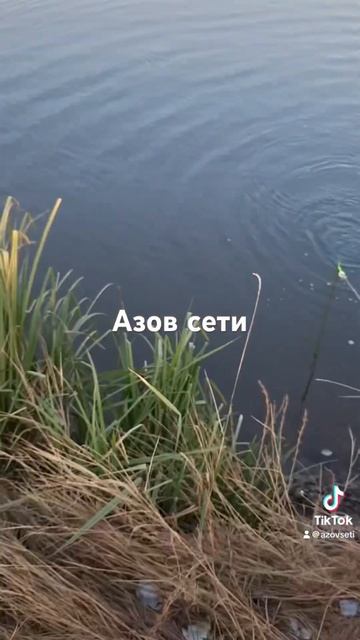 Заброс кастинговой сети#топ #рекомендации #хочуврек #х смотреть онлайн