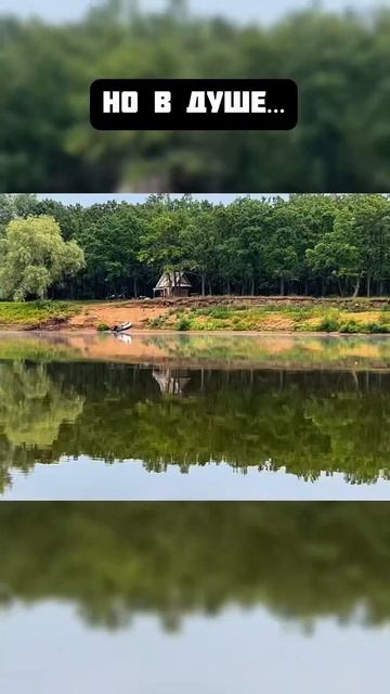 Ну всё, похоже пора в спячку до лета 25 года) #рыбалка #fish смотреть онлайн