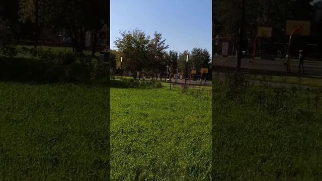 Гуляем в @Принарский Парк. #жизнь #ярекомендую #любовь # смотреть онлайн