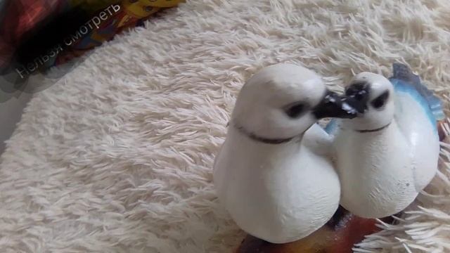 подпишитесь на канал ПЖ смотреть онлайн