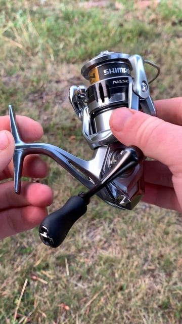 Моё осеннее дополнение Shimano Best Master #рыбалка